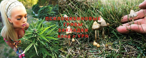 не бодяженный Алзамай
