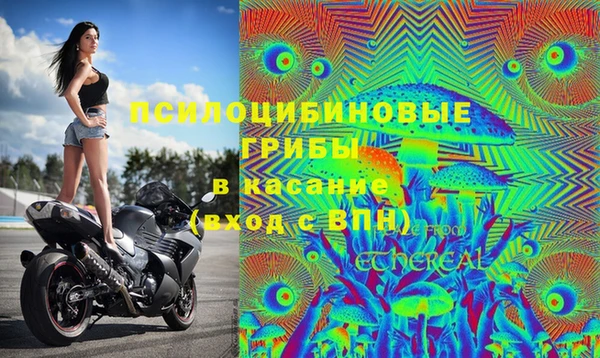 мескалин Алексин